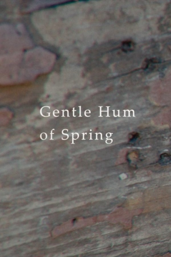 Gentle Hum Of Spring