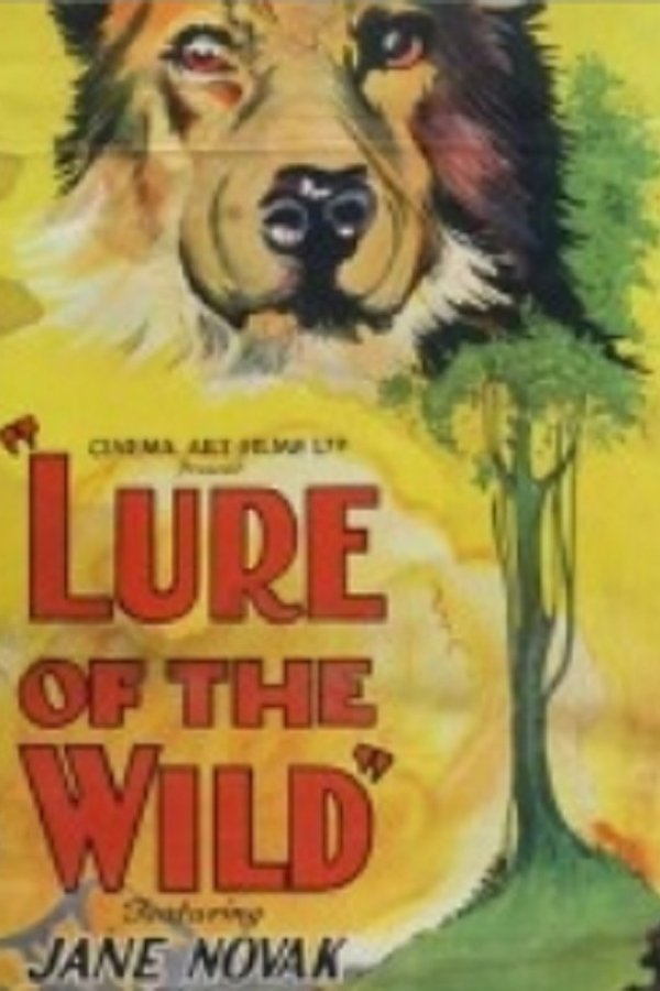 The Lure Of The Wild