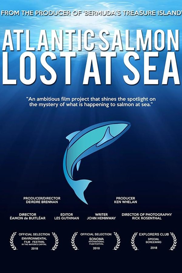 Atlantic Salmon: Lost At Sea