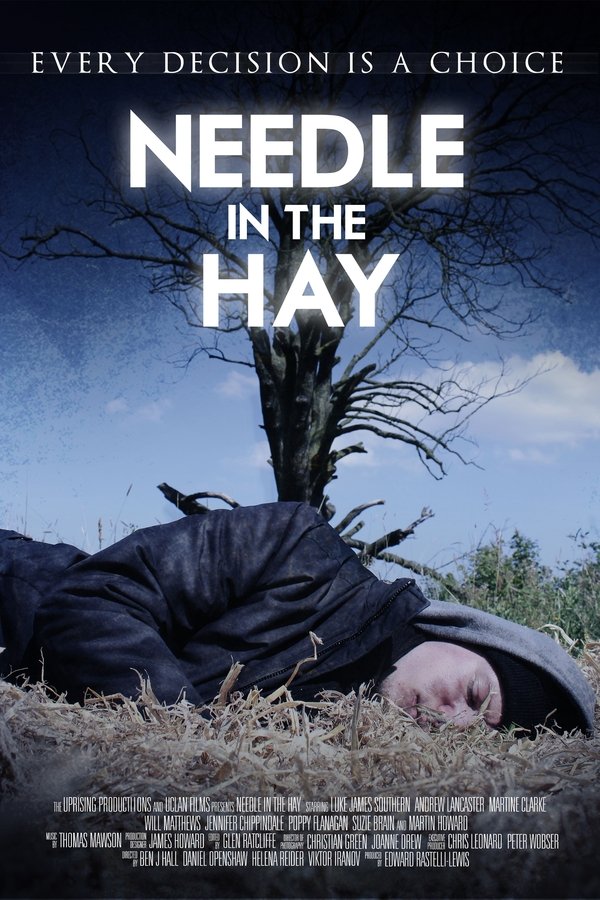 Needle In The Hay
