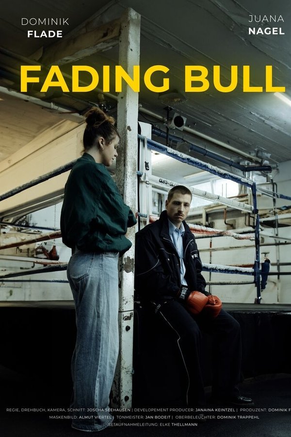 Fading Bull