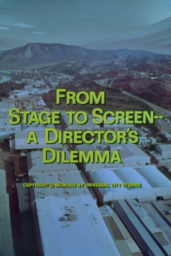 From Stage To Screen-A Director's Dilemma