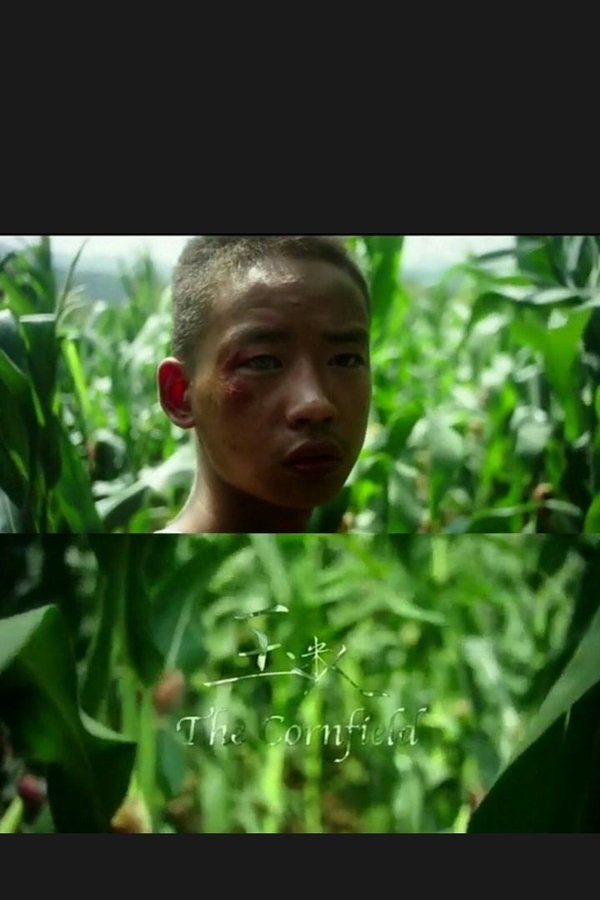 The Cornfield