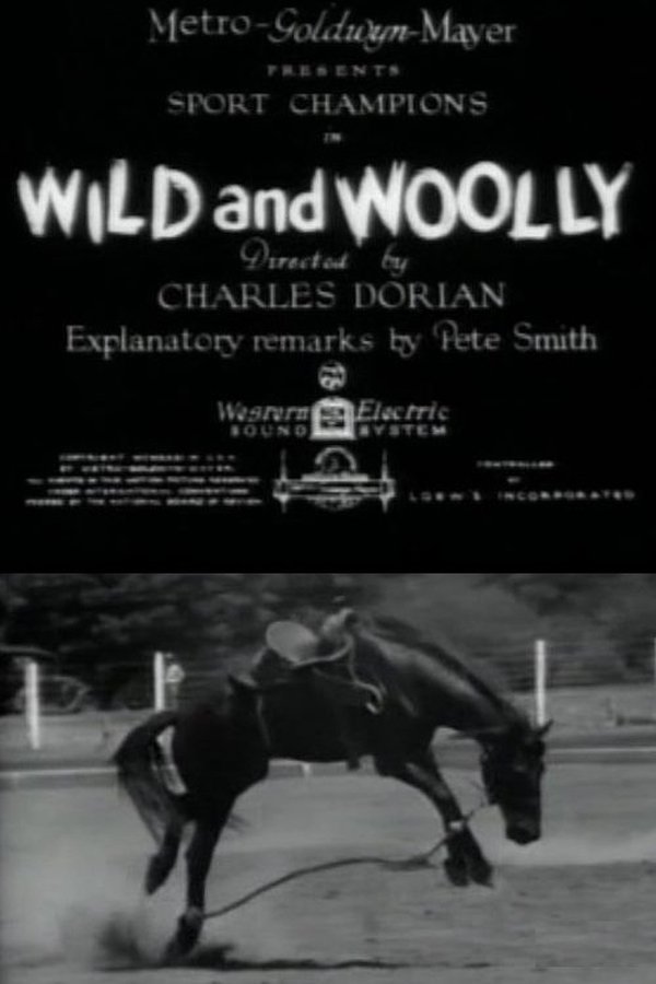 Wild And Woolly