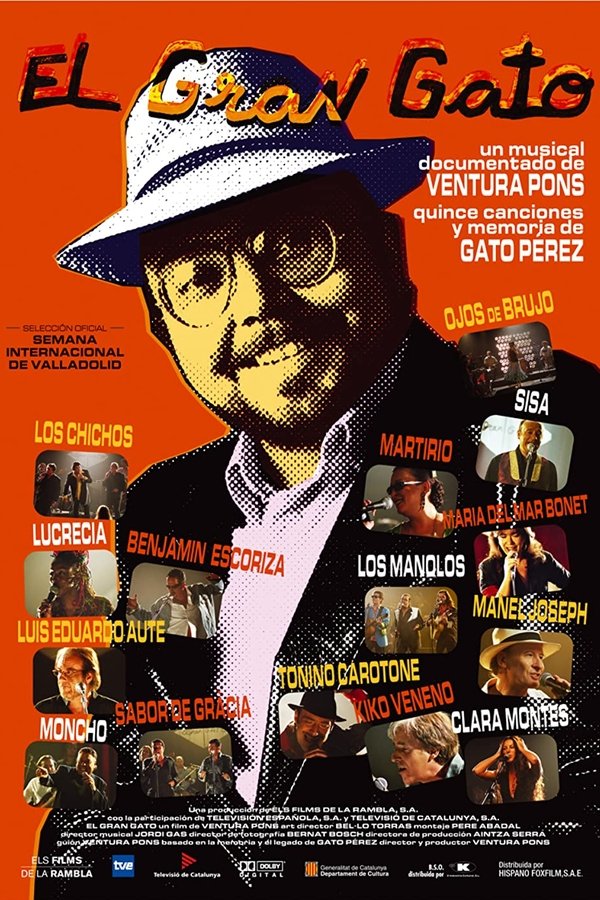 El Gran Gato