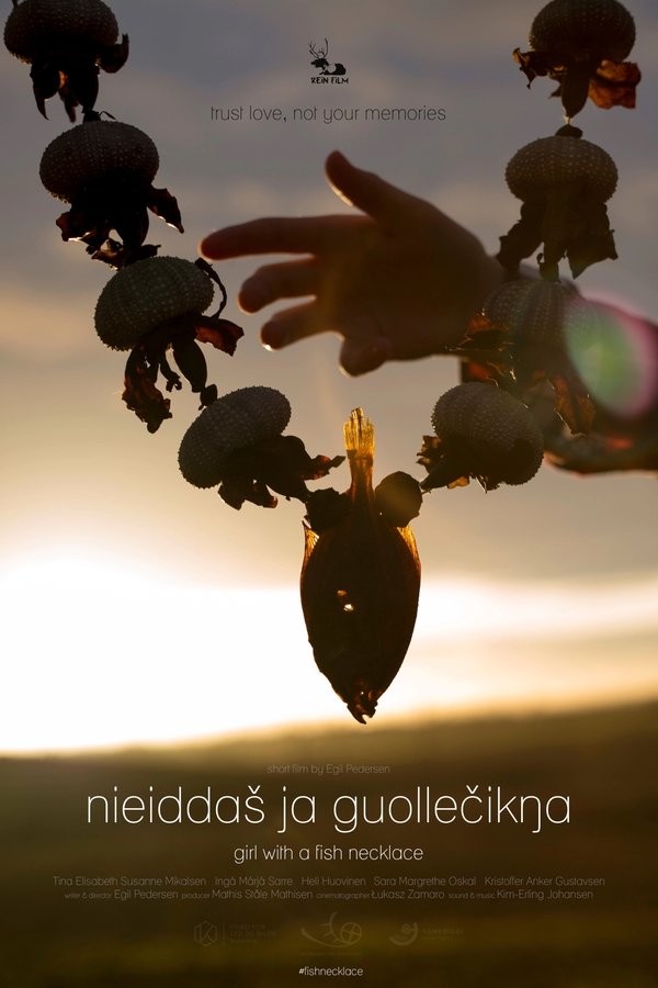 Nieiddas Ja Guollecikna