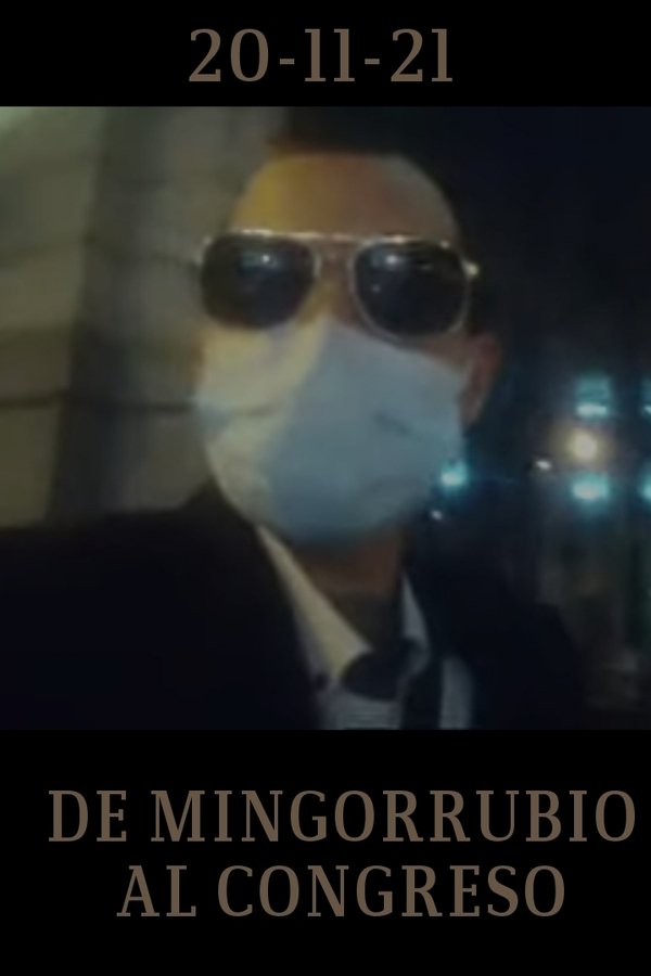 De Mingorrubio Al Congreso