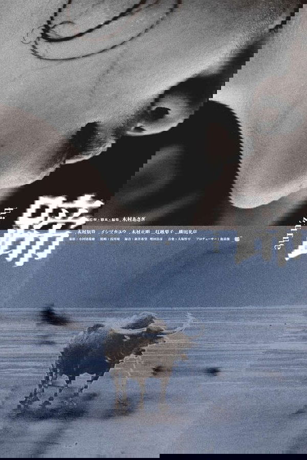 蹄