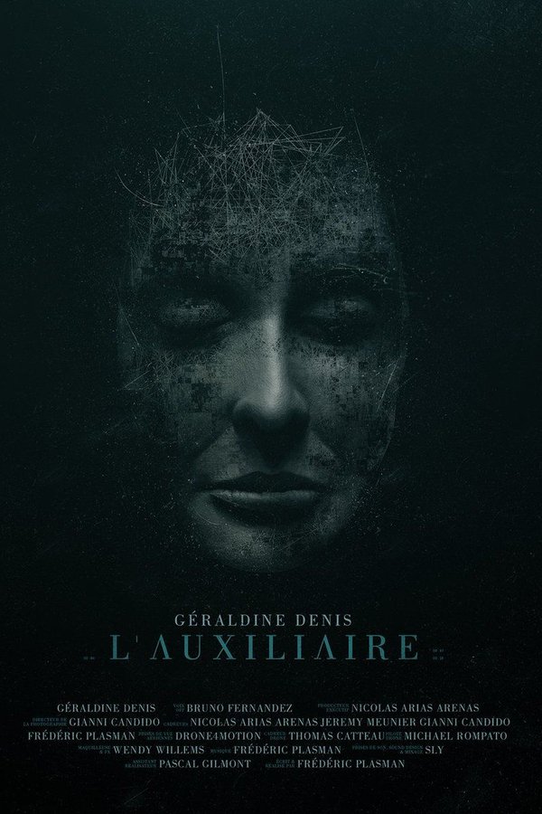 L'auxiliaire