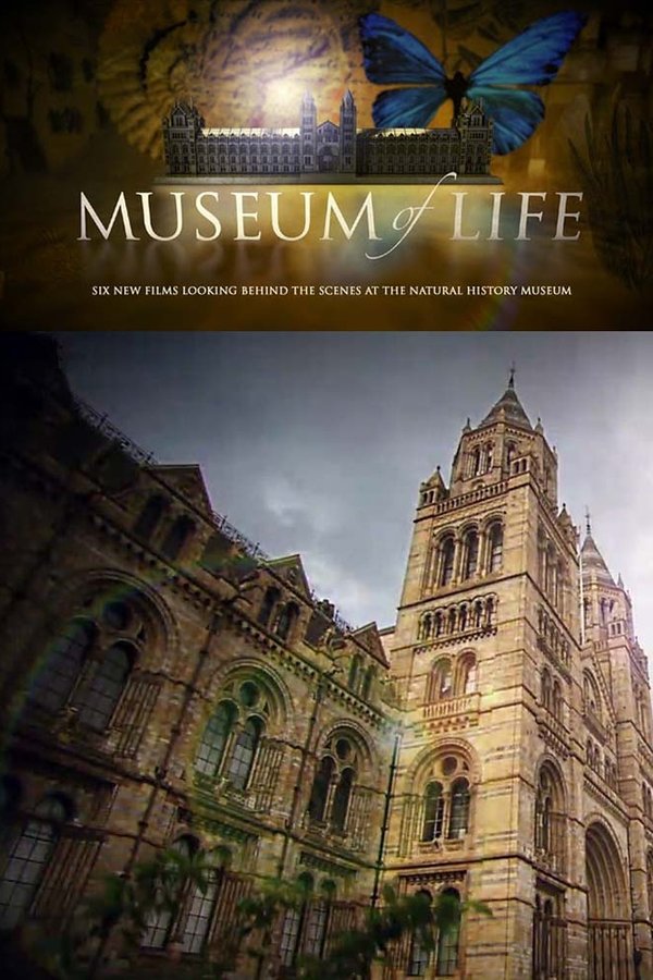 Museum Of Life