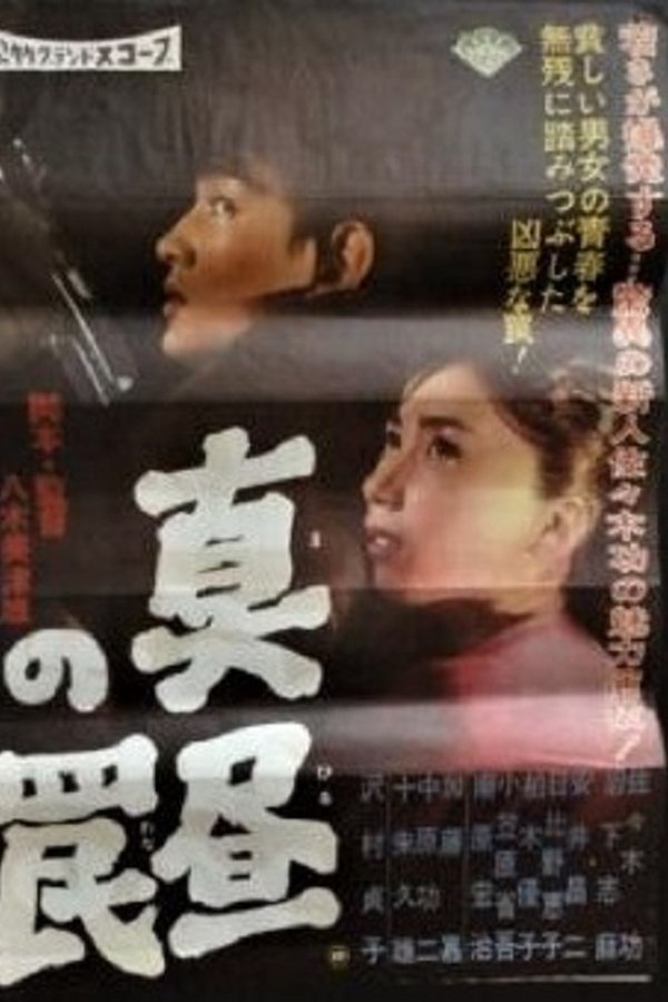 真昼の罠