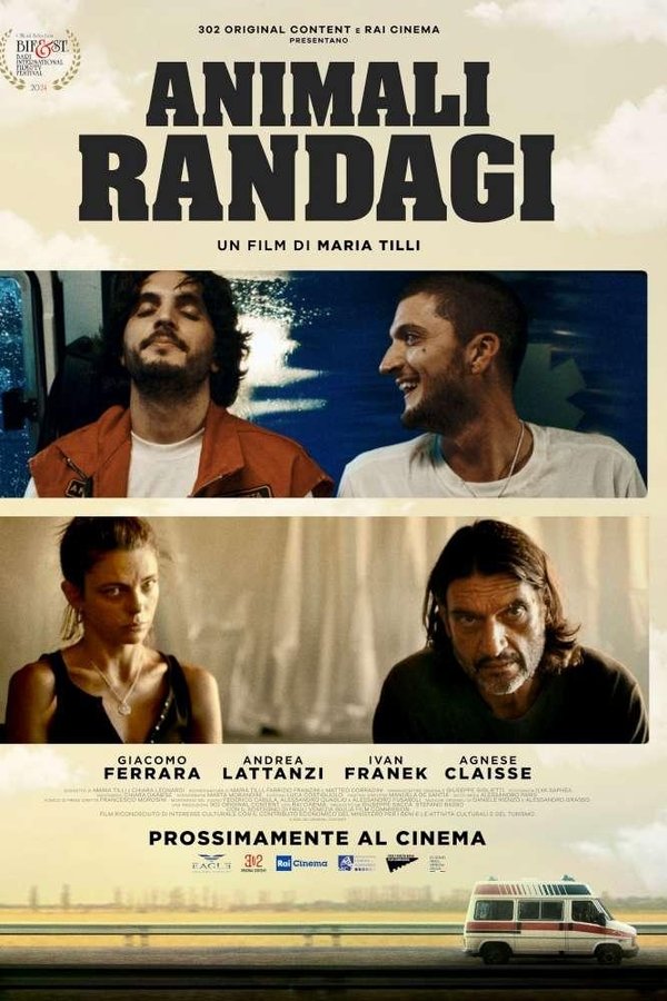 Animali Randagi