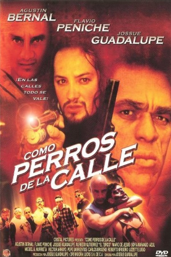 Como Perros De La Calle