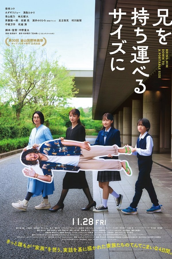兄を持ち運べるサイズに