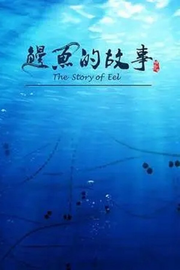 鳗鱼的故事