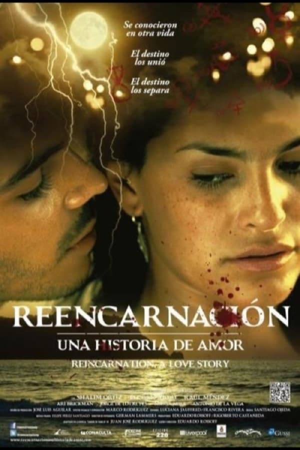 Reencarnación, Una Historia De Amor