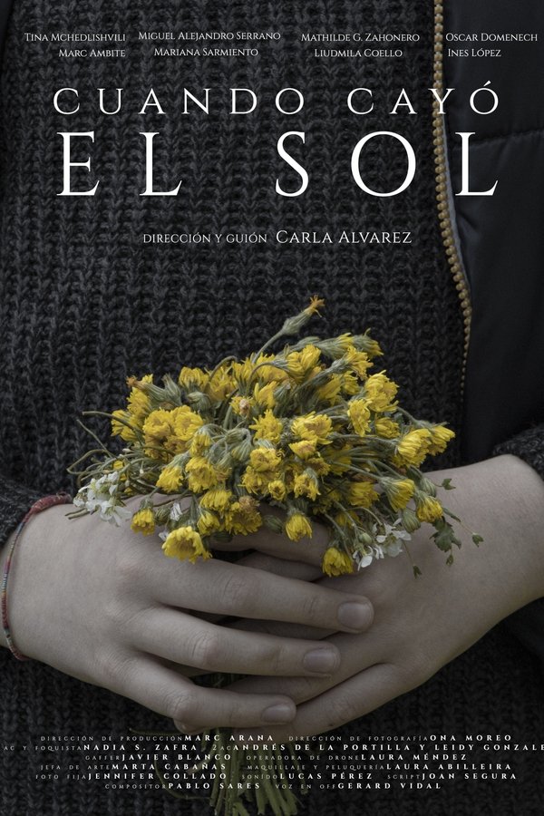 Cuando Cayó El Sol