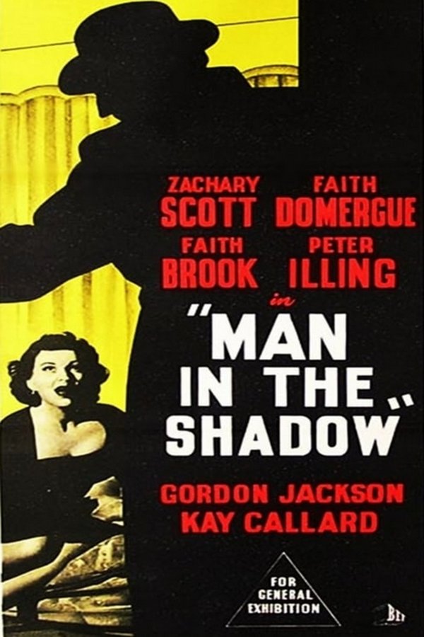 Man In The Shadow