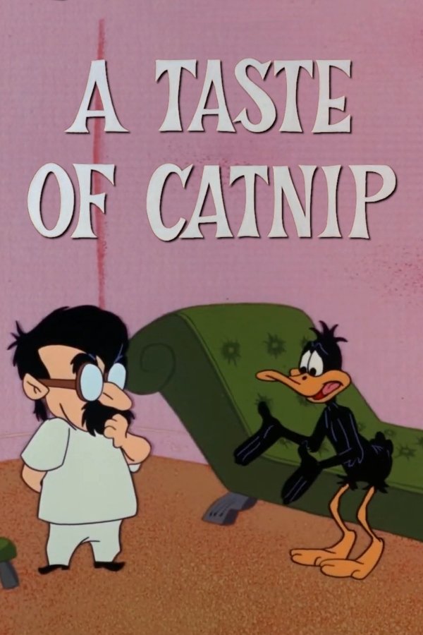 A Taste Of Catnip
