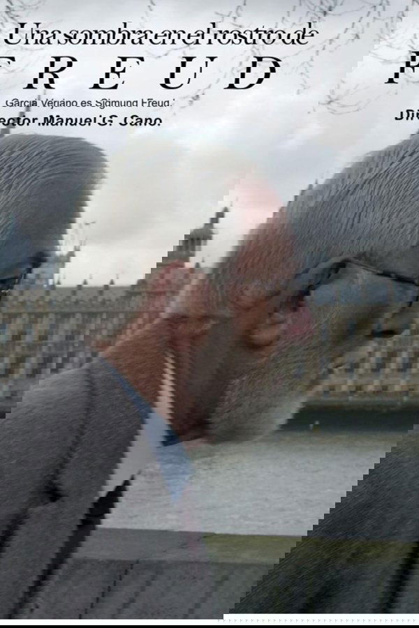 Una Sombra En El Rostro De Freud