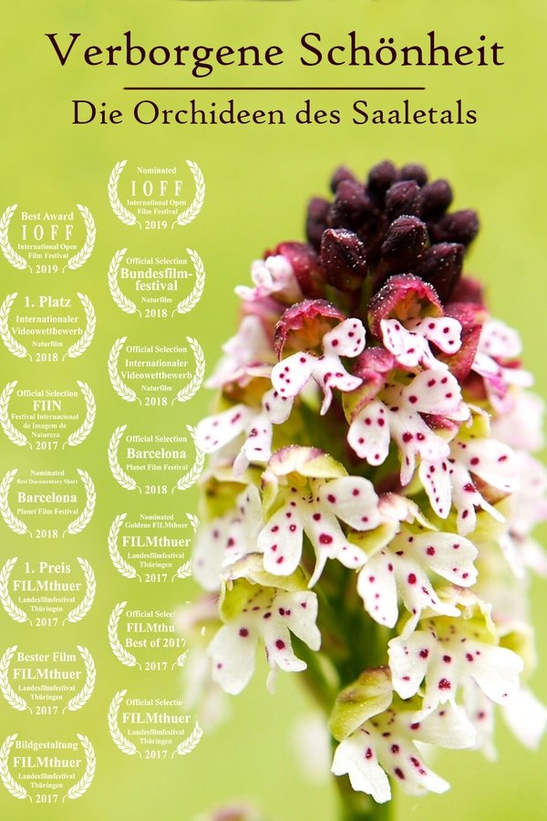 Verborgene Schönheit: Die Orchideen Des Saaletals