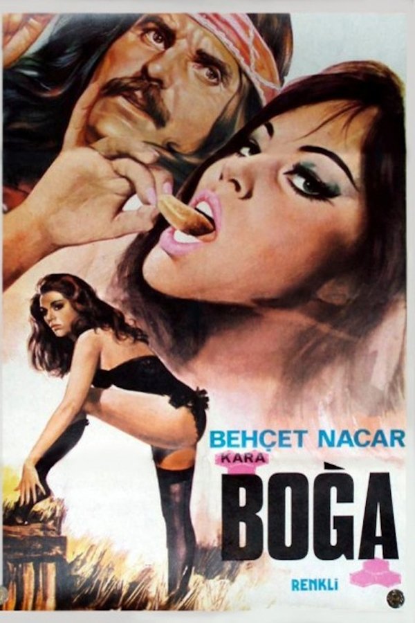 Kara Boğa