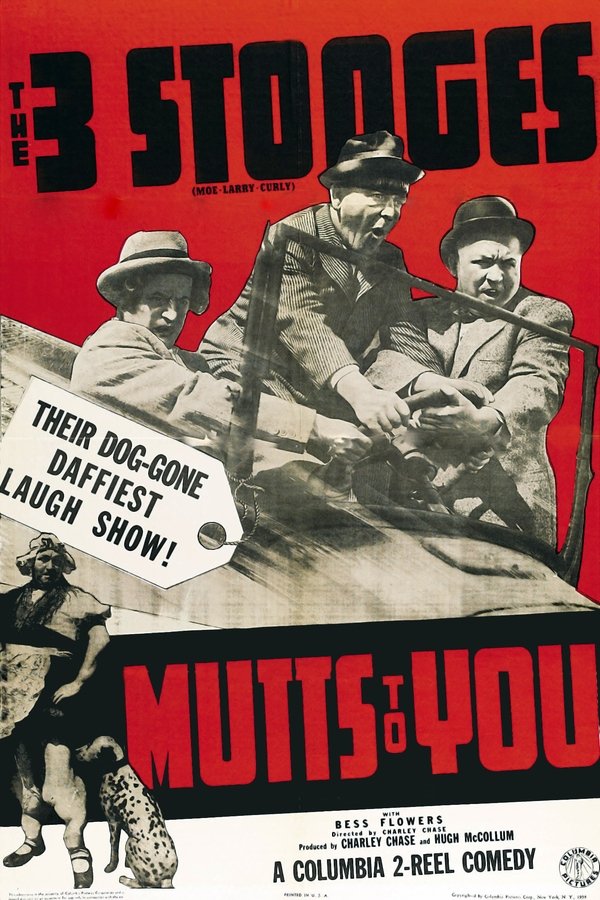 Mutts To You