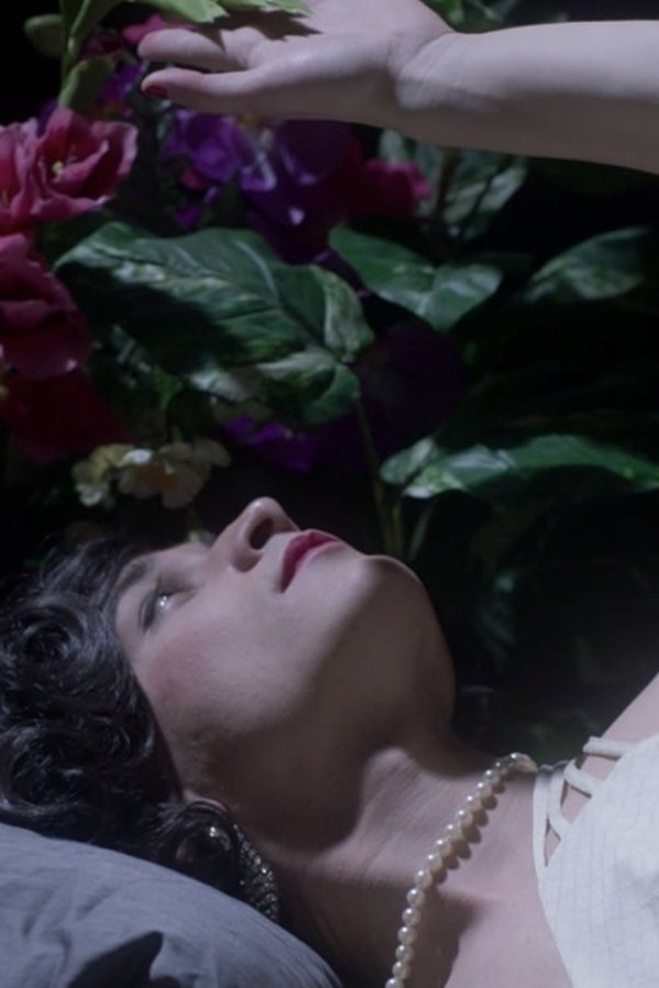 Les Fleurs Et Les Bêtes