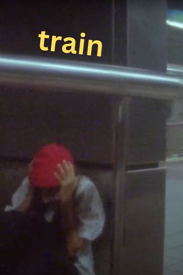 train