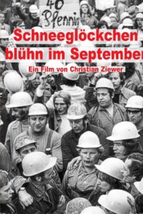 Schneeglöckchen Blühn Im September