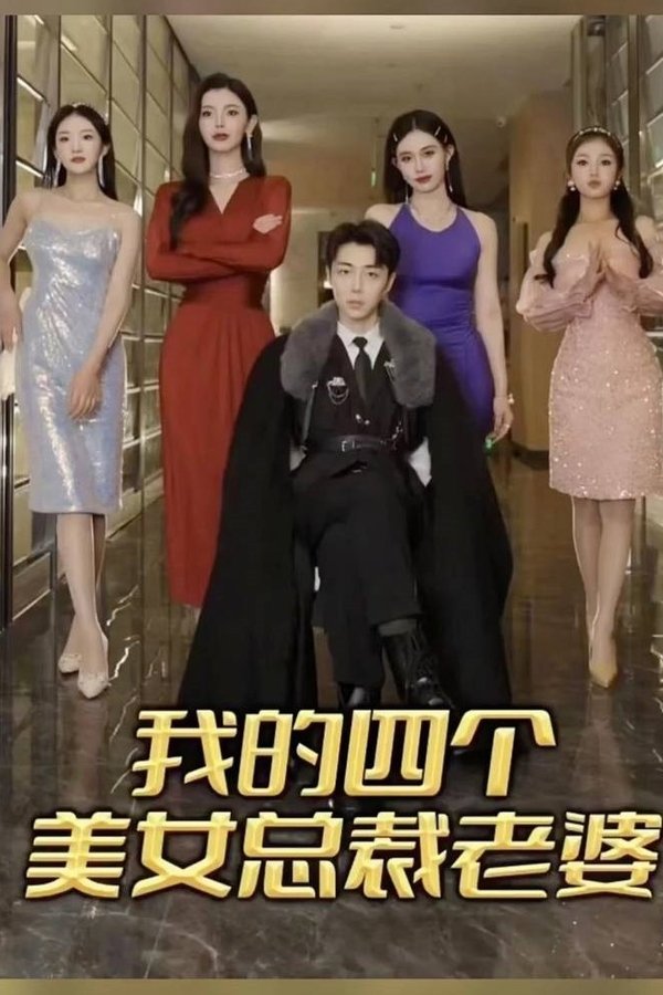 我的四个美女总裁老婆