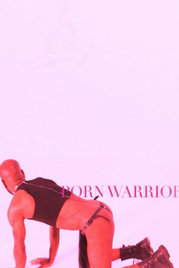 Porn Warriors