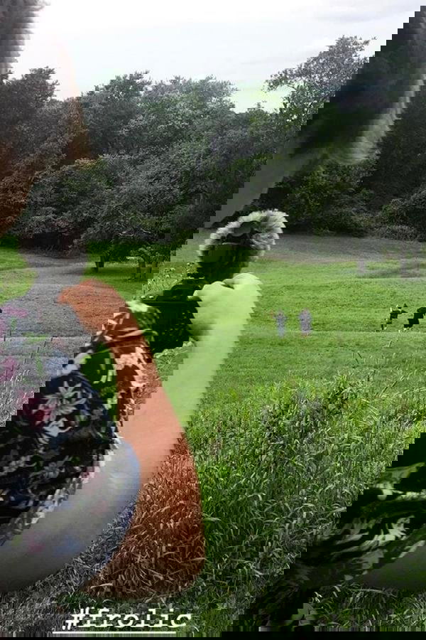Frolic
