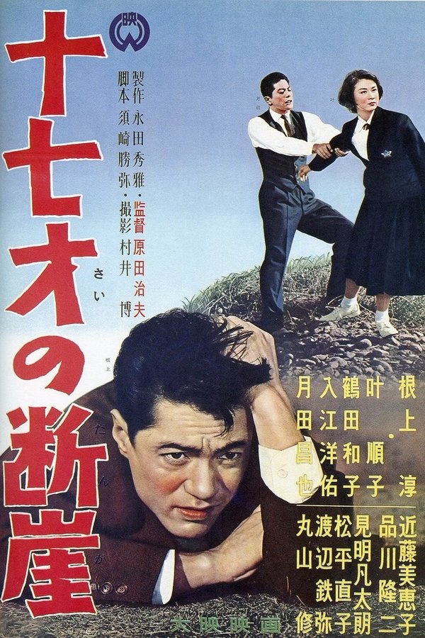 十七才の断崖