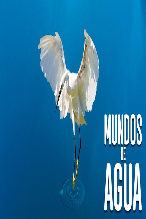 Mundos De Agua
