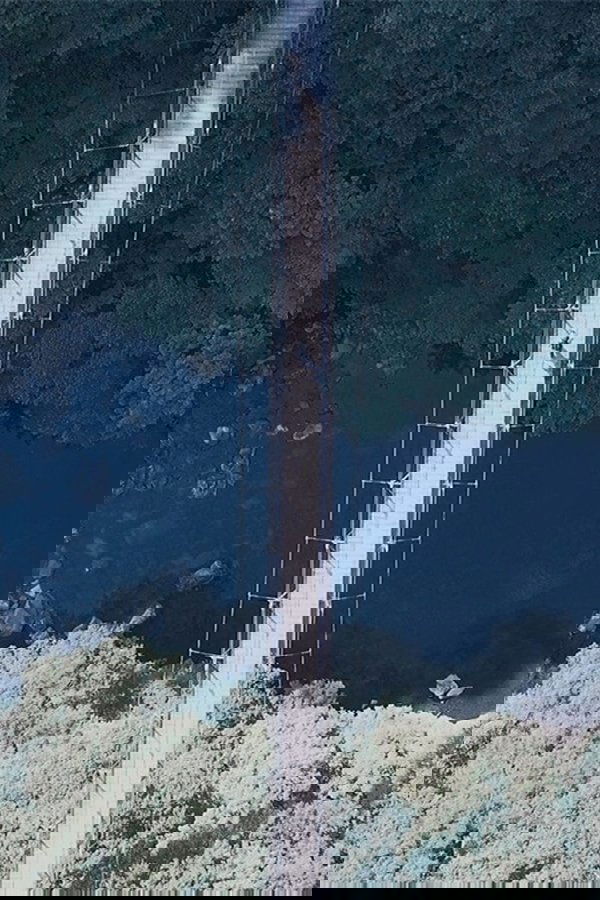 灯火
