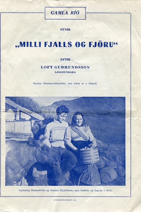 Milli Fjalls Og Fjöru
