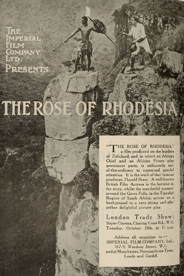 The Rose Of Rhodesia
