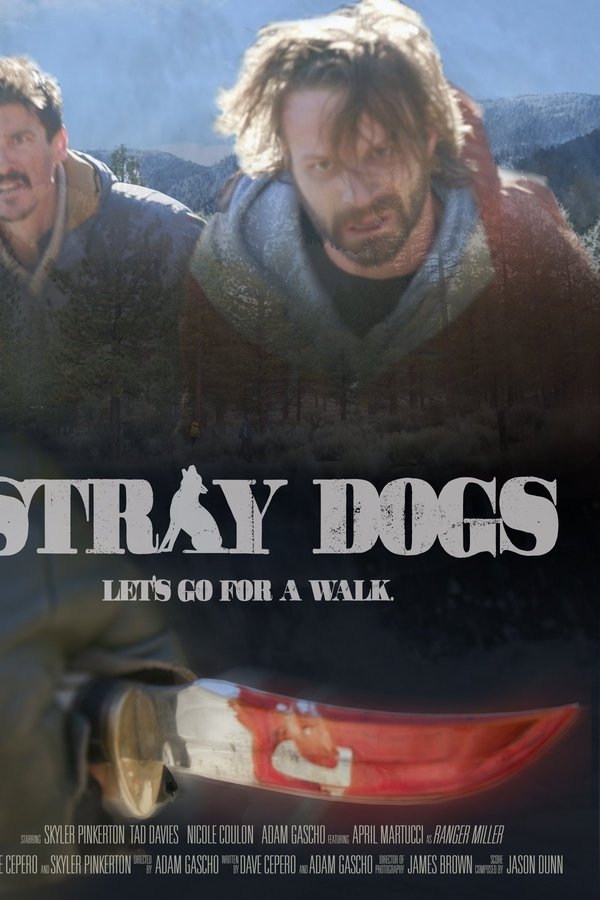 Stray Dogs