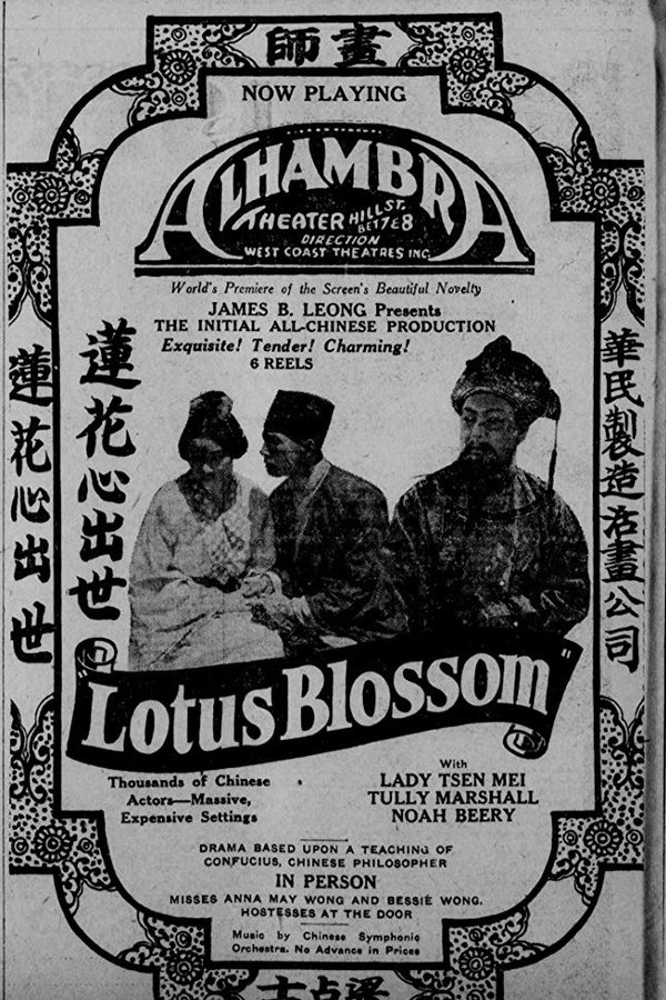 Lotus Blossom