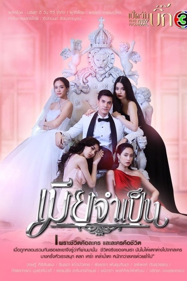 เมียจำเป็น