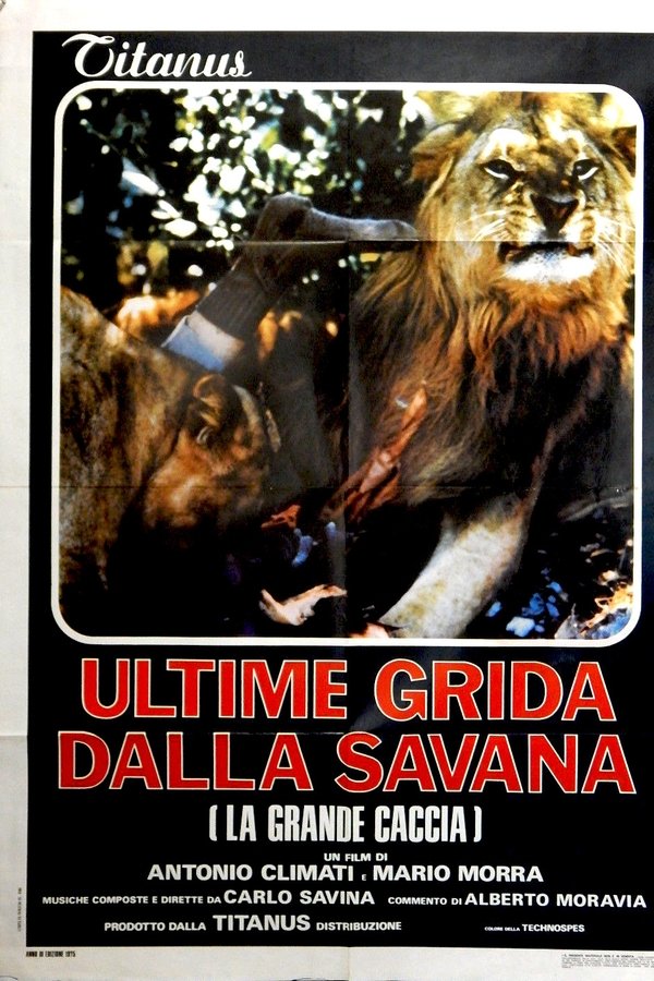 Ultime Grida Dalla Savana