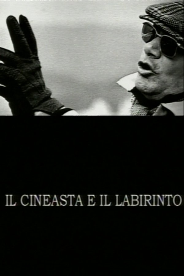 Il Cineasta E Il Labirinto