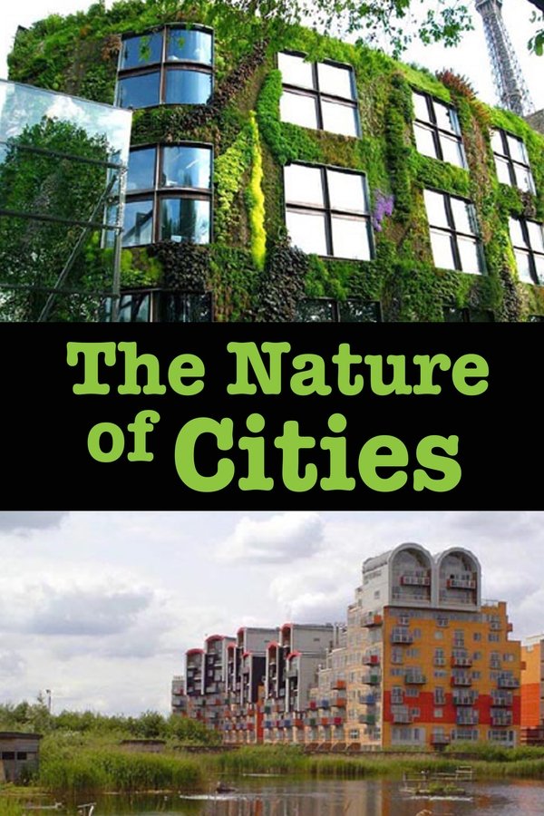 The Nature Of Cities