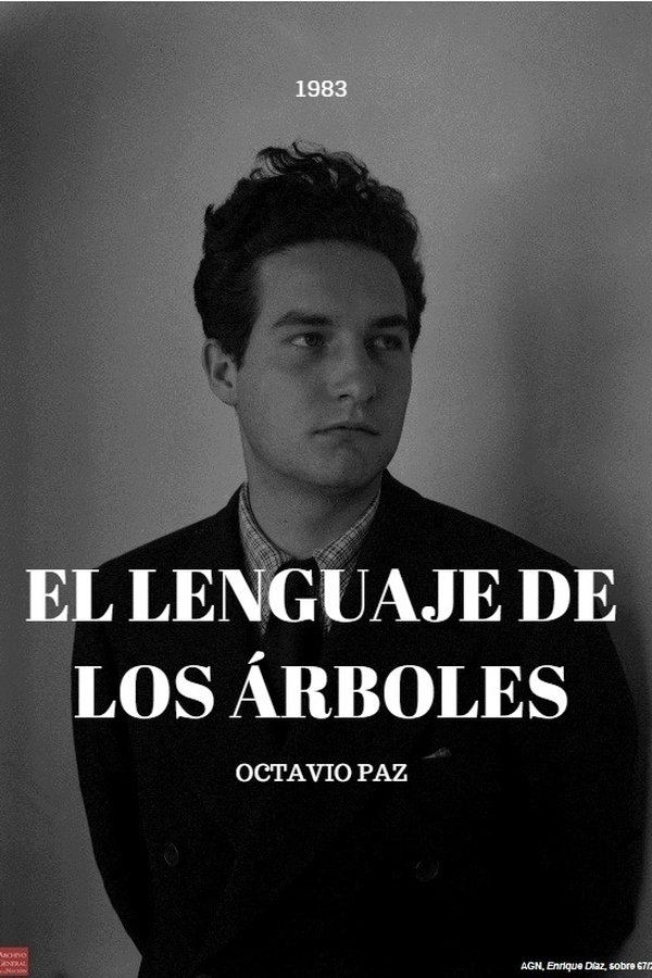 El Lenguaje De Los Árboles