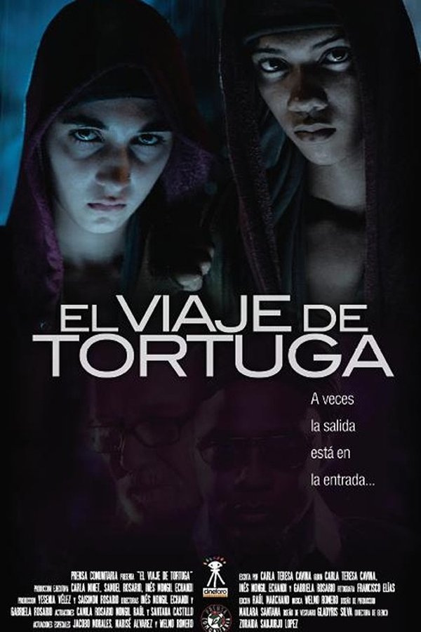 El Viaje De Tortuga