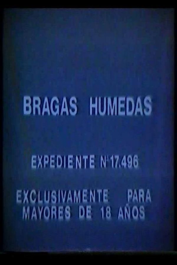 Bragas Húmedas