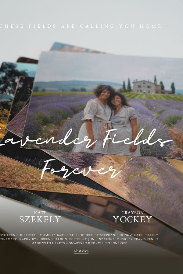 Lavender Fields Forever