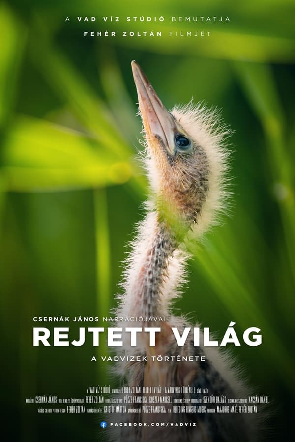 Rejtett Világ - A Vadvizek Története