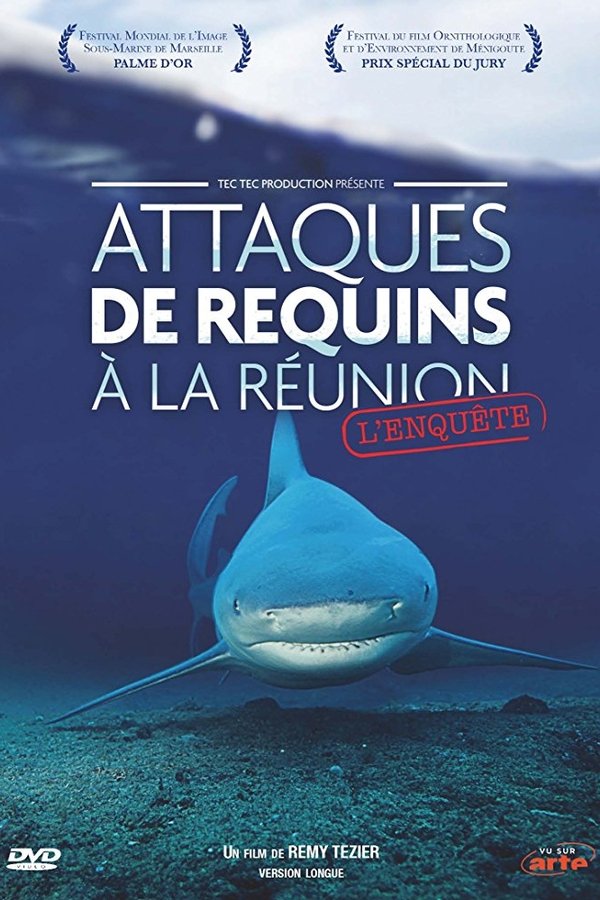Attaques De Requins à La Réunion : L'enquête